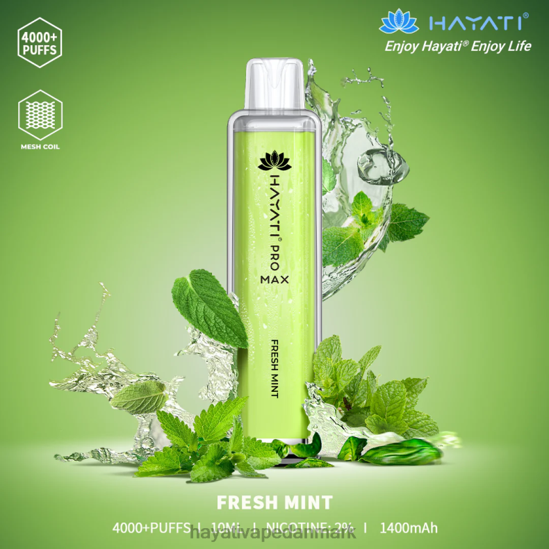 Hayati Flavours Deutschland | Hayati Pro Max engangs frisk mynte TF62V104